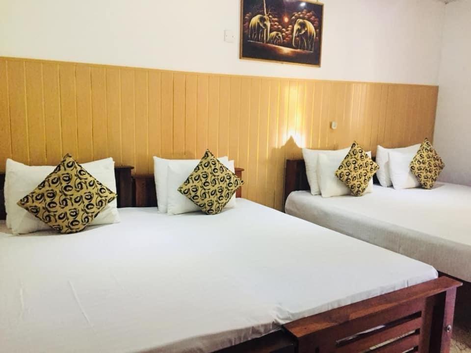 Thisara Guest House Polonnaruwa Exteriér fotografie