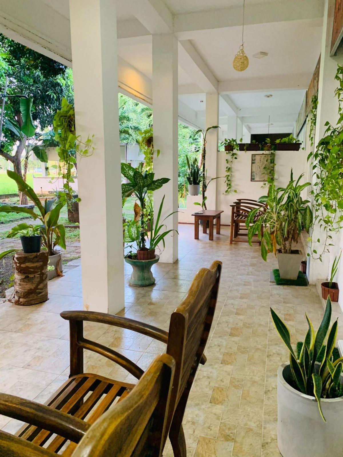 Thisara Guest House Polonnaruwa Exteriér fotografie